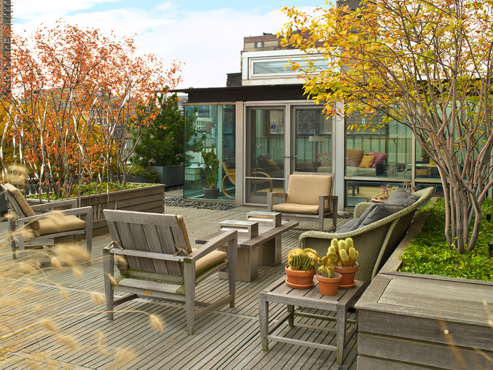 Ispirazione per una terrazza minimal di medie dimensioni e sul tetto con un giardino in vaso
