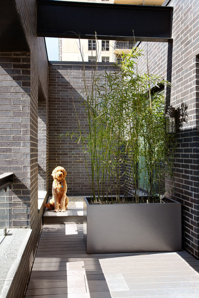 Esempio di una terrazza contemporanea con nessuna copertura