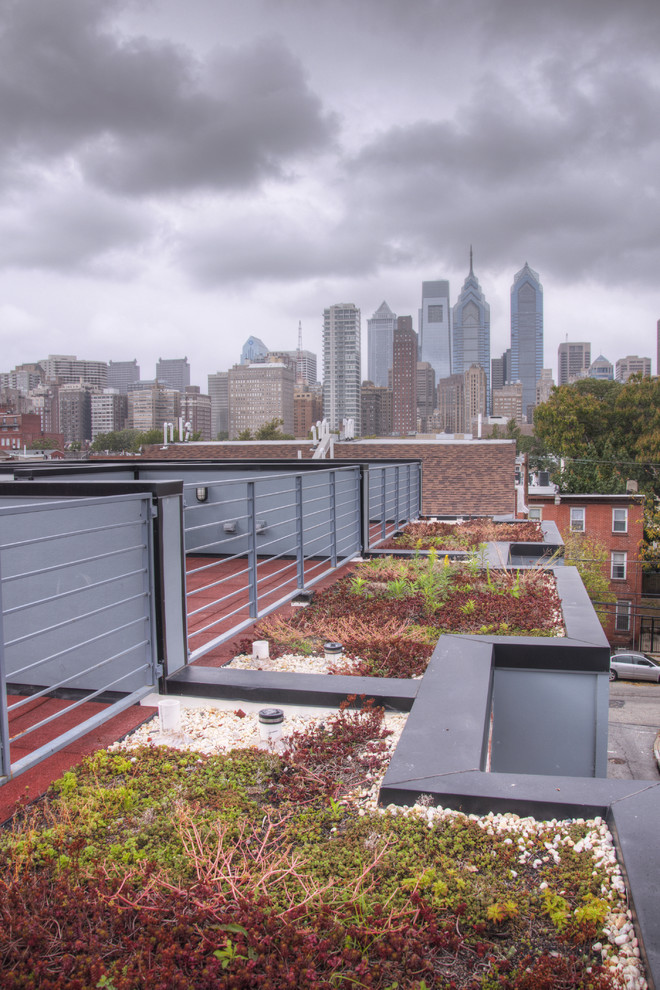 Свежая идея для дизайна: терраса среднего размера на крыше в современном стиле с растениями в контейнерах без защиты от солнца - отличное фото интерьера