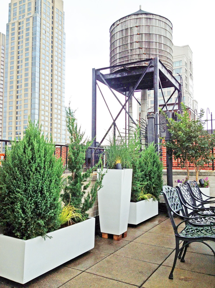 Inspiration for a contemporary roof terrace in New York with a potted garden.