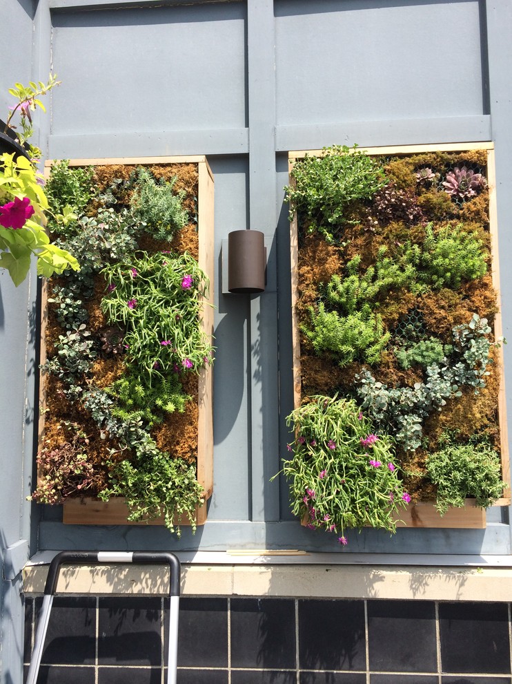 Источник вдохновения для домашнего уюта: маленькая терраса в стиле модернизм с растениями в контейнерах без защиты от солнца для на участке и в саду
