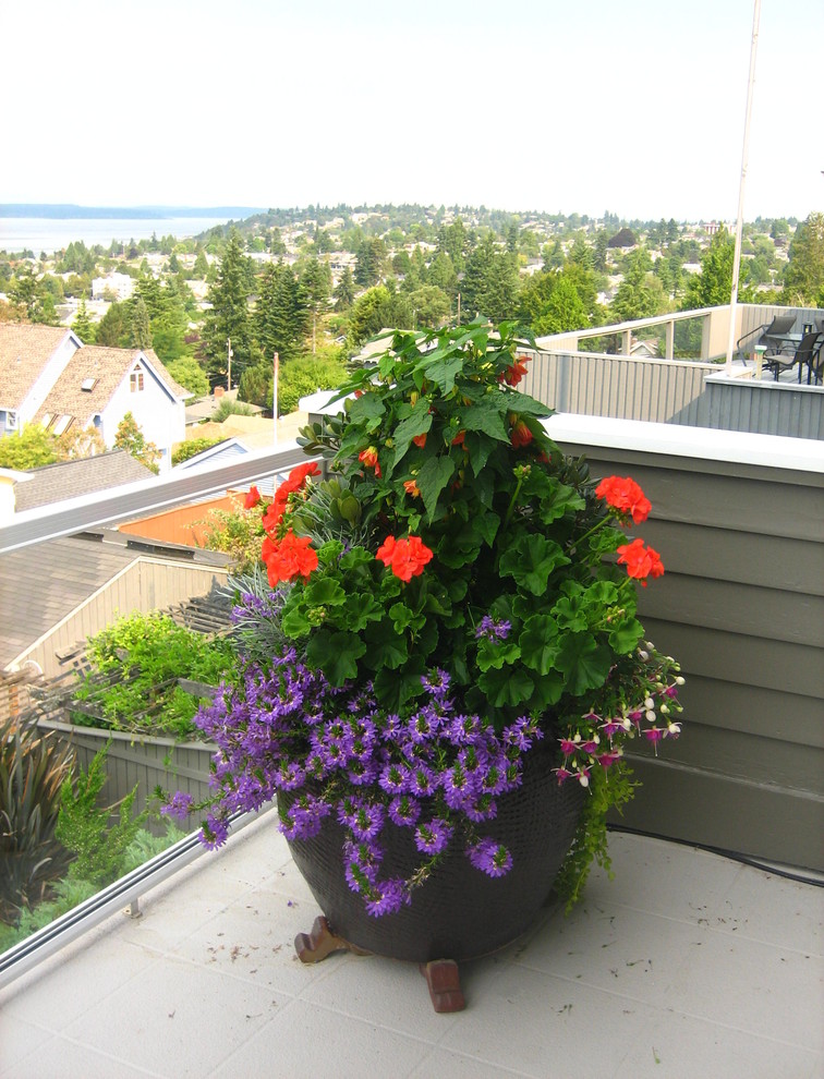 На фото: маленькая терраса на заднем дворе в современном стиле с растениями в контейнерах без защиты от солнца для на участке и в саду