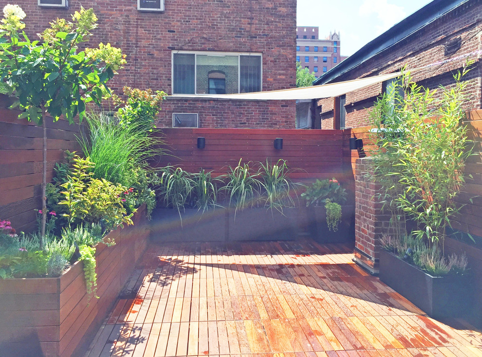 Imagen de terraza actual en azotea con jardín de macetas