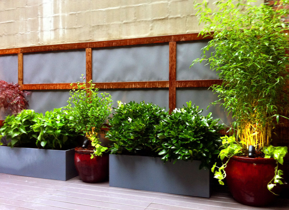 Inspiration for a rooftop deck container garden remodel in New York