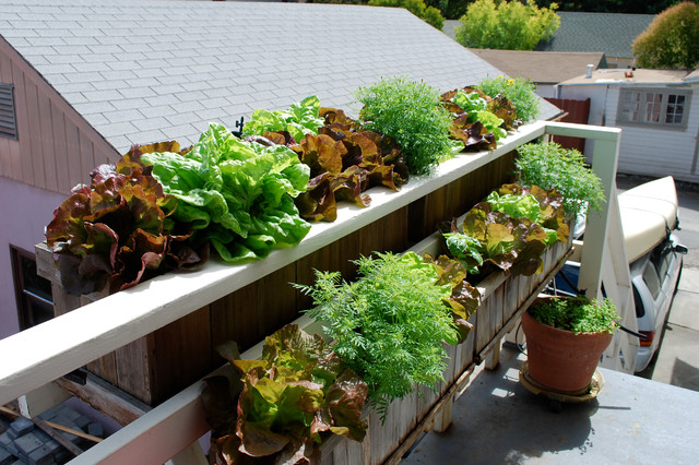 プランターで野菜やハーブを育てる プランター栽培のコツ10選 Houzz ハウズ プランターで野菜やハーブを育てる プランター栽培のコツ10選 Houzz ハウズ