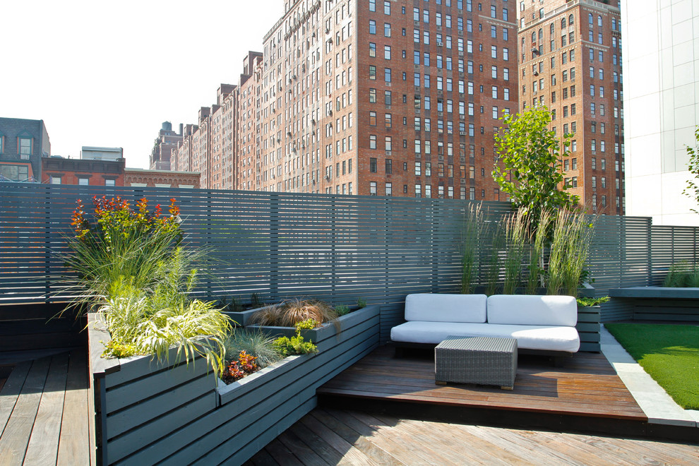 Photo of a contemporary roof rooftop terrace in New York with a potted garden and no cover.
