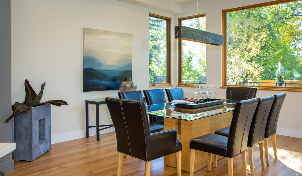 Medium sized contemporary dining room in Denver with white walls, dark hardwood flooring and brown floors.