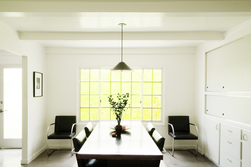 Пример оригинального дизайна: отдельная столовая в современном стиле с белыми стенами