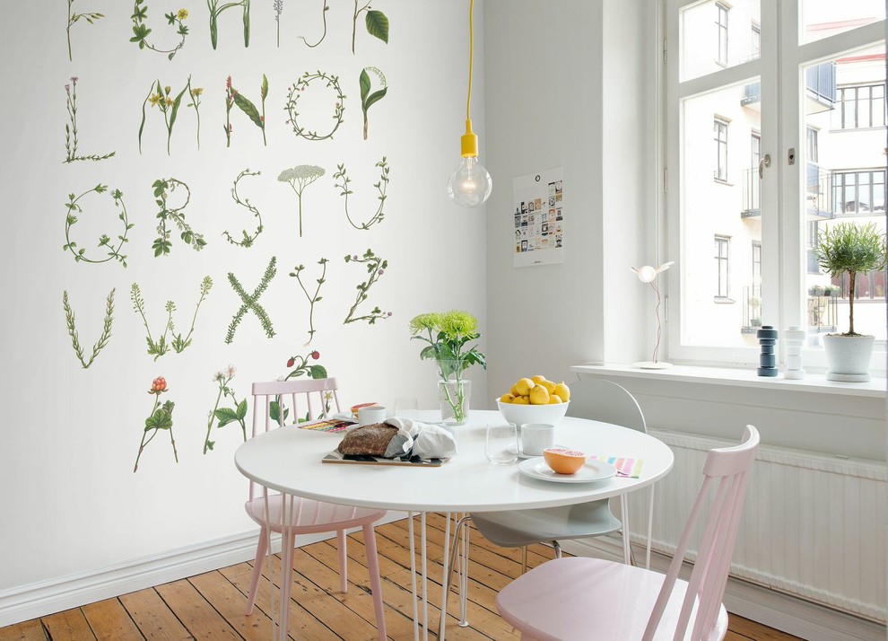 Ispirazione per una sala da pranzo con pareti multicolore, pavimento in legno massello medio e nessun camino