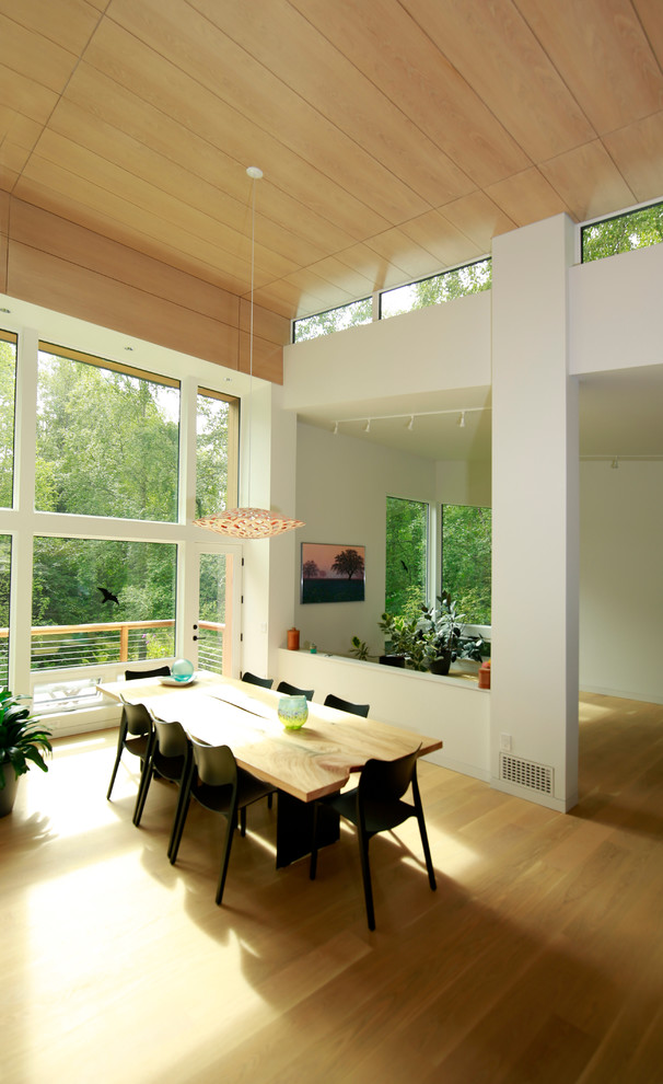 Foto de comedor contemporáneo extra grande abierto sin chimenea con paredes blancas y suelo de madera clara