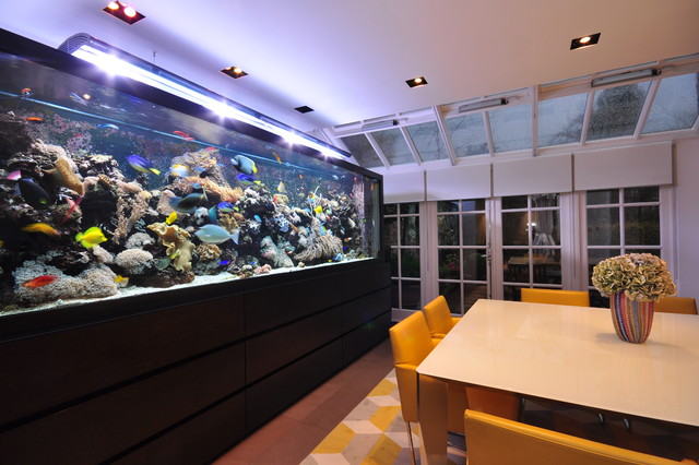 fish tank dining table