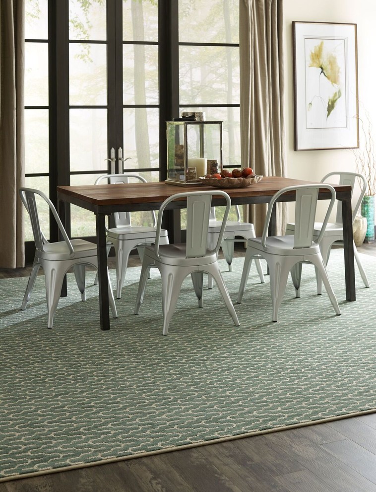 Area Rugs Transitional Dining Room Other by Carpet One Floor