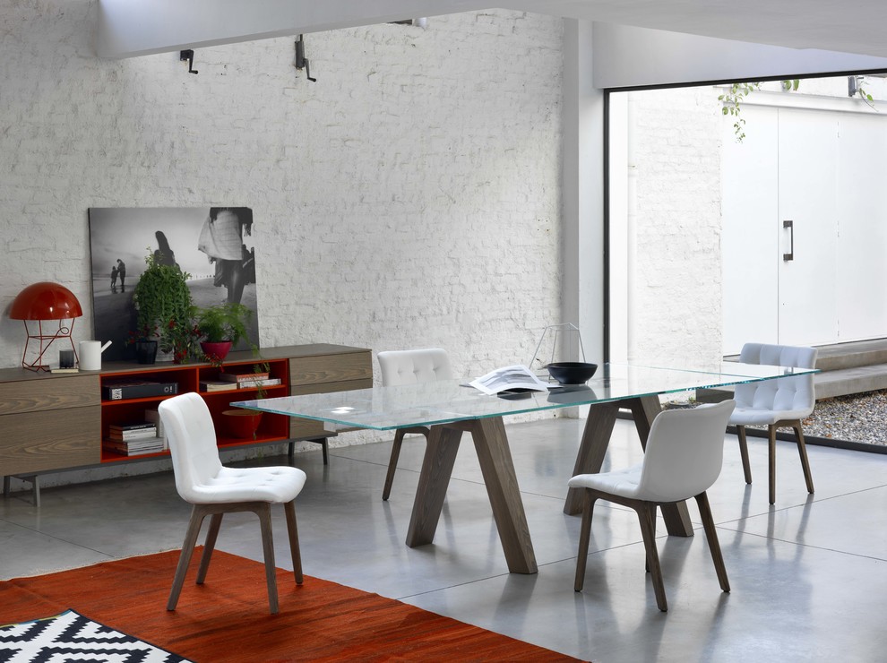 Imagen de comedor minimalista grande abierto con paredes blancas y suelo de cemento