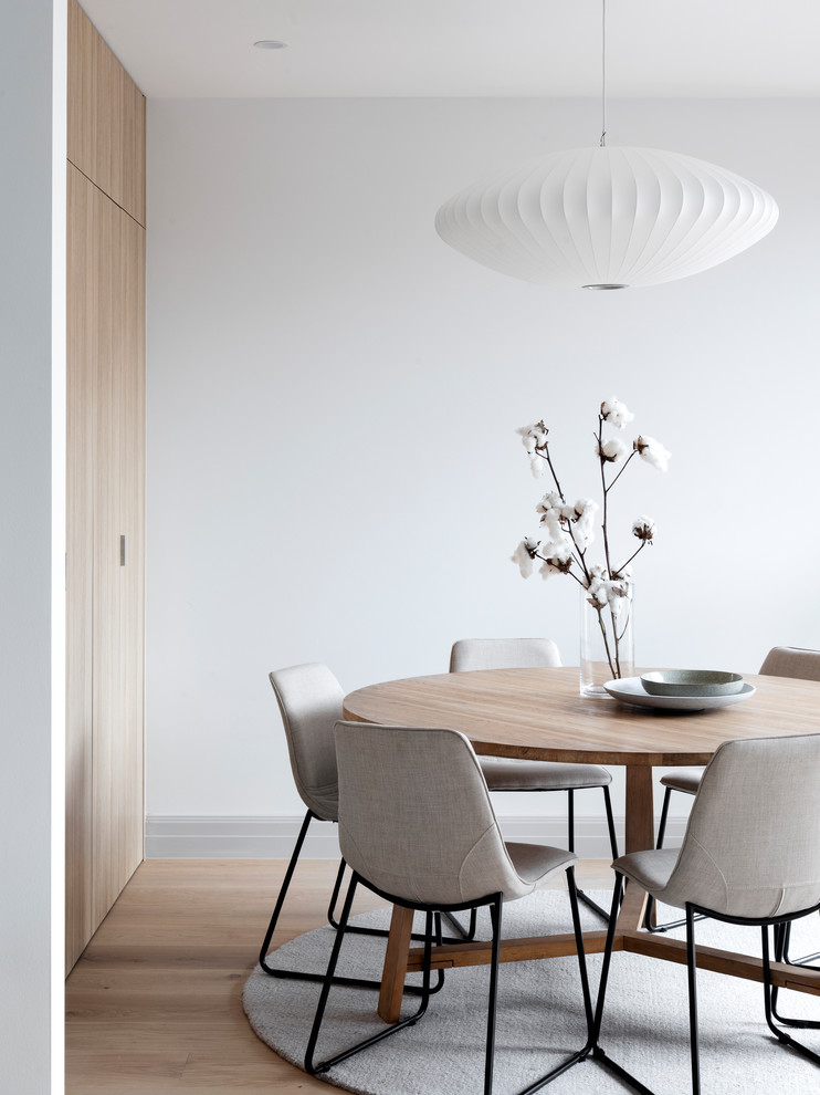 Idee per una sala da pranzo contemporanea con pareti bianche, parquet chiaro e pavimento beige