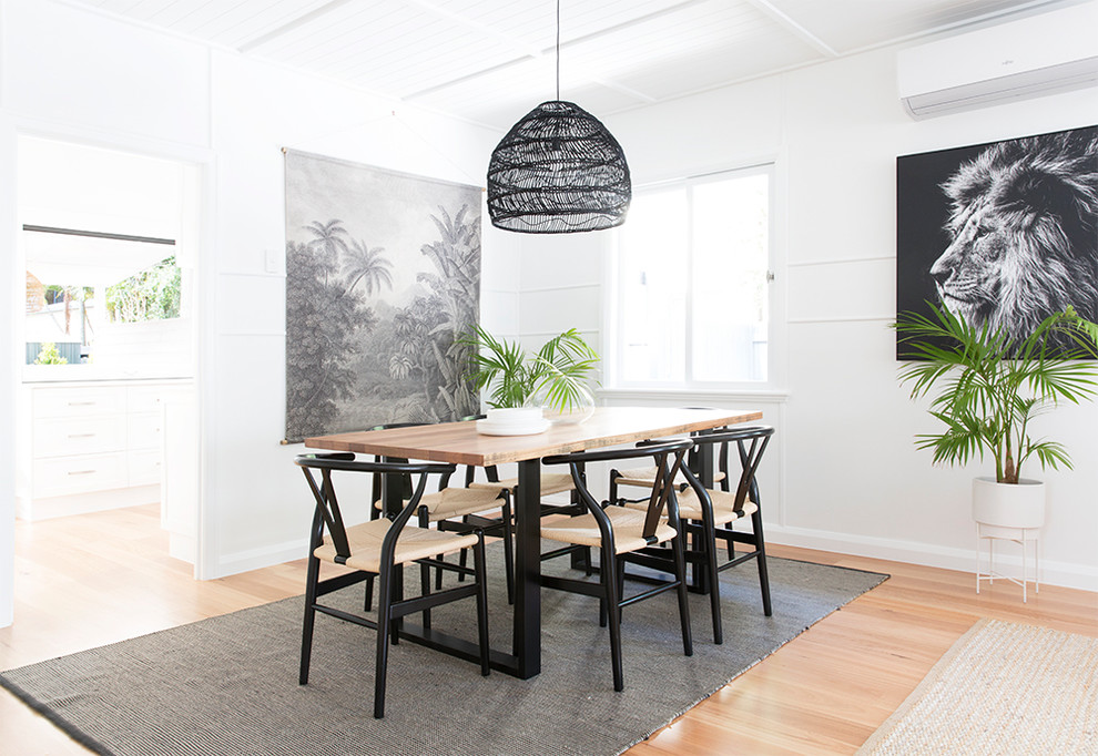 Inspiration for a coastal medium tone wood floor and brown floor dining room remodel in Brisbane with white walls