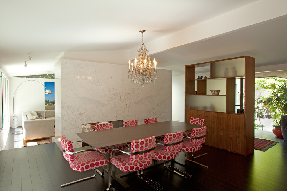 Esempio di una grande sala da pranzo minimalista con pareti bianche, parquet scuro, camino bifacciale, cornice del camino in pietra e pavimento marrone