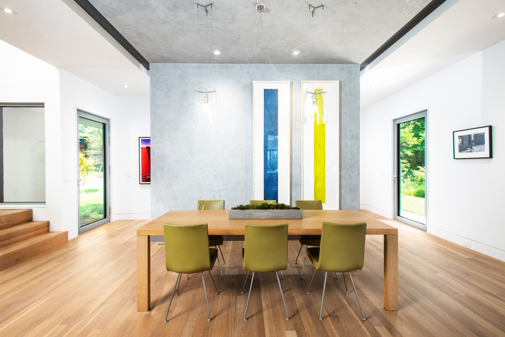 Geschlossenes, Mittelgroßes Modernes Esszimmer ohne Kamin mit weißer Wandfarbe, hellem Holzboden und braunem Boden in New York