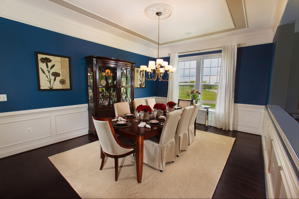 Источник вдохновения для домашнего уюта: столовая среднего размера в классическом стиле с синими стенами и темным паркетным полом без камина