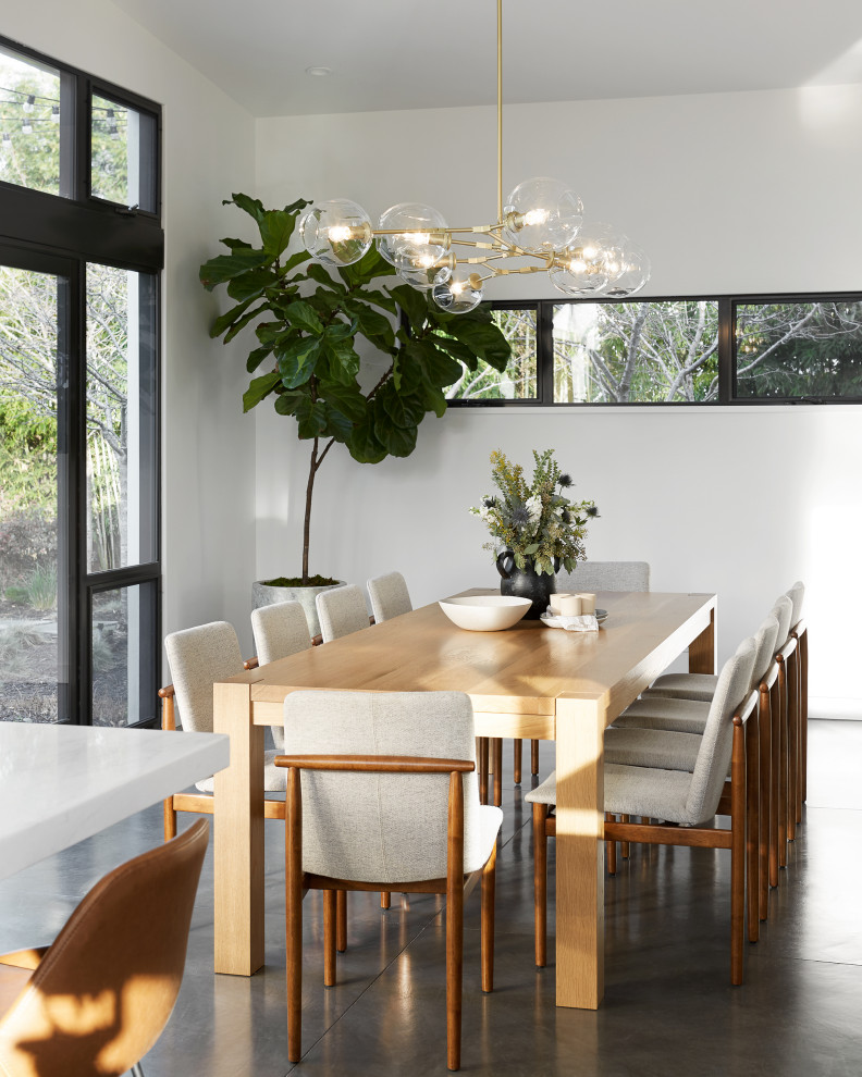 Scandi open plan dining room in San Francisco with white walls, concrete flooring and grey floors.