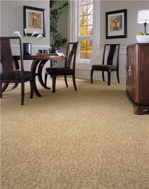 Carpet Traditional Dining Room Indianapolis by Kermans Flooring