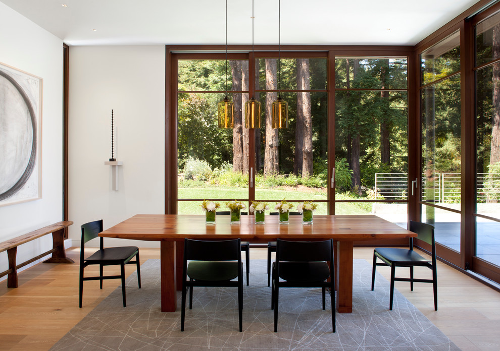 Diseño de comedor moderno de tamaño medio cerrado con paredes blancas y suelo de madera en tonos medios