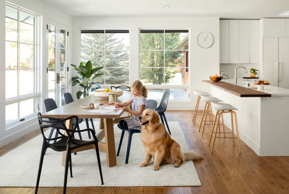 This is an example of a scandi dining room in Denver.