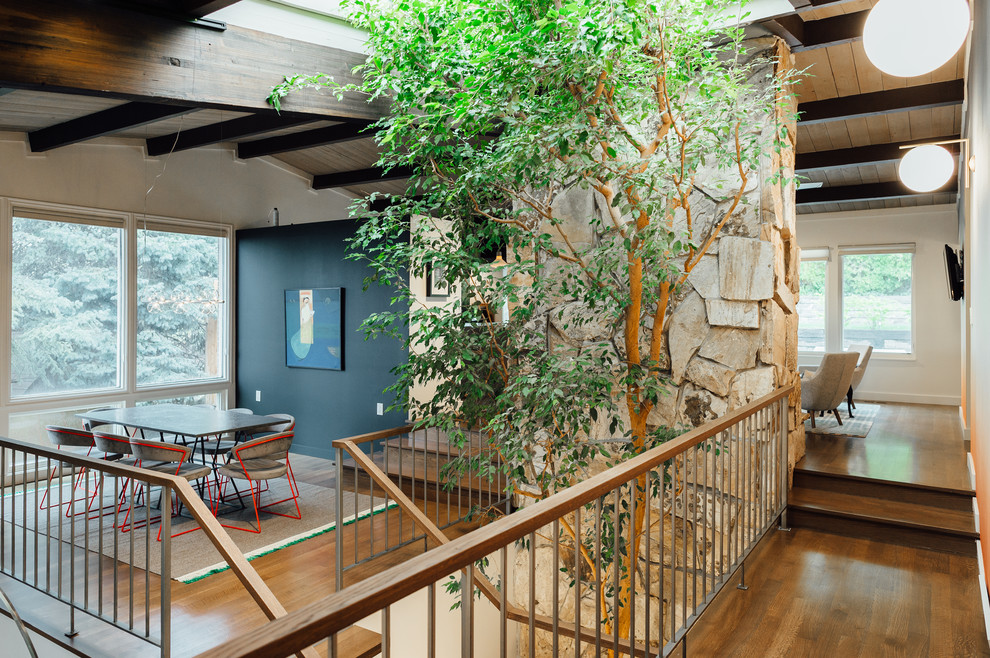 Ispirazione per una sala da pranzo aperta verso il soggiorno moderna di medie dimensioni con pareti blu, pavimento in legno massello medio e pavimento marrone