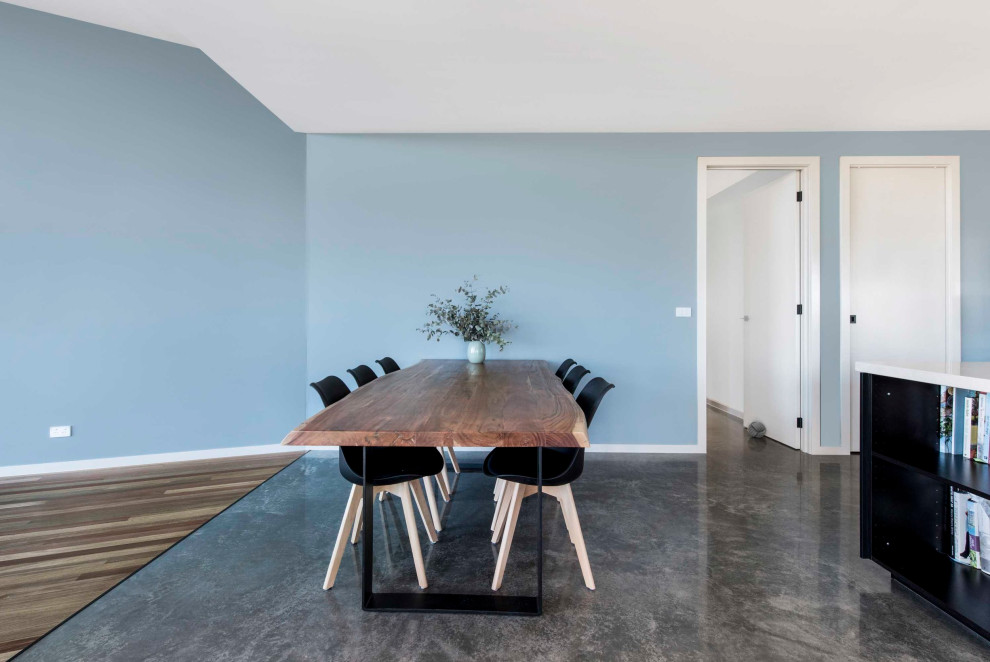 キャンベラにある高級な中くらいなコンテンポラリースタイルのおしゃれなLDK (青い壁、コンクリートの床、標準型暖炉、石材の暖炉まわり、グレーの床) の写真