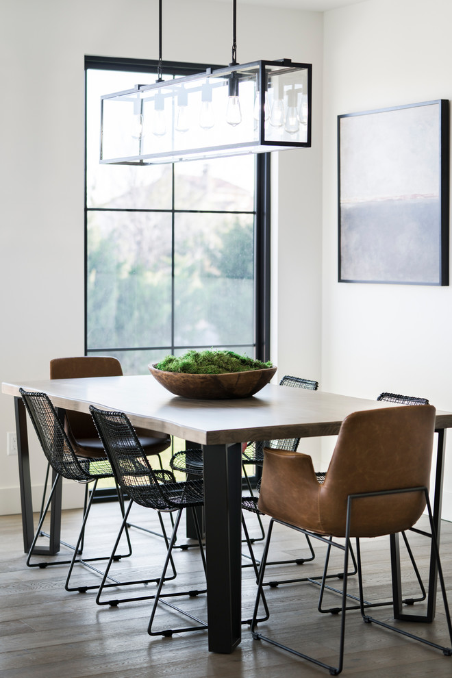 Ispirazione per una sala da pranzo minimal con pareti bianche e pavimento in legno massello medio