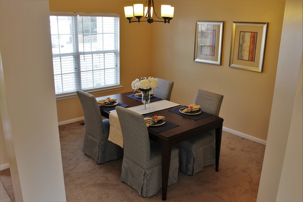 Dining room - mid-sized transitional carpeted dining room idea in Other