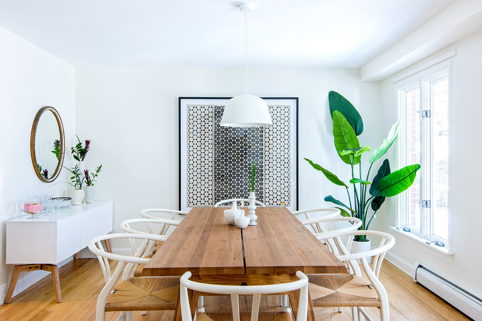 Immagine di una sala da pranzo design chiusa e di medie dimensioni con pareti bianche, pavimento in legno massello medio, pavimento marrone e nessun camino
