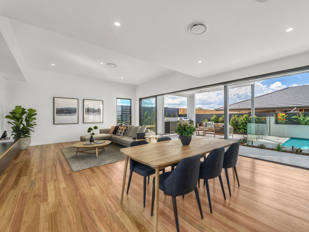 Offenes Modernes Esszimmer mit weißer Wandfarbe und braunem Holzboden in Brisbane
