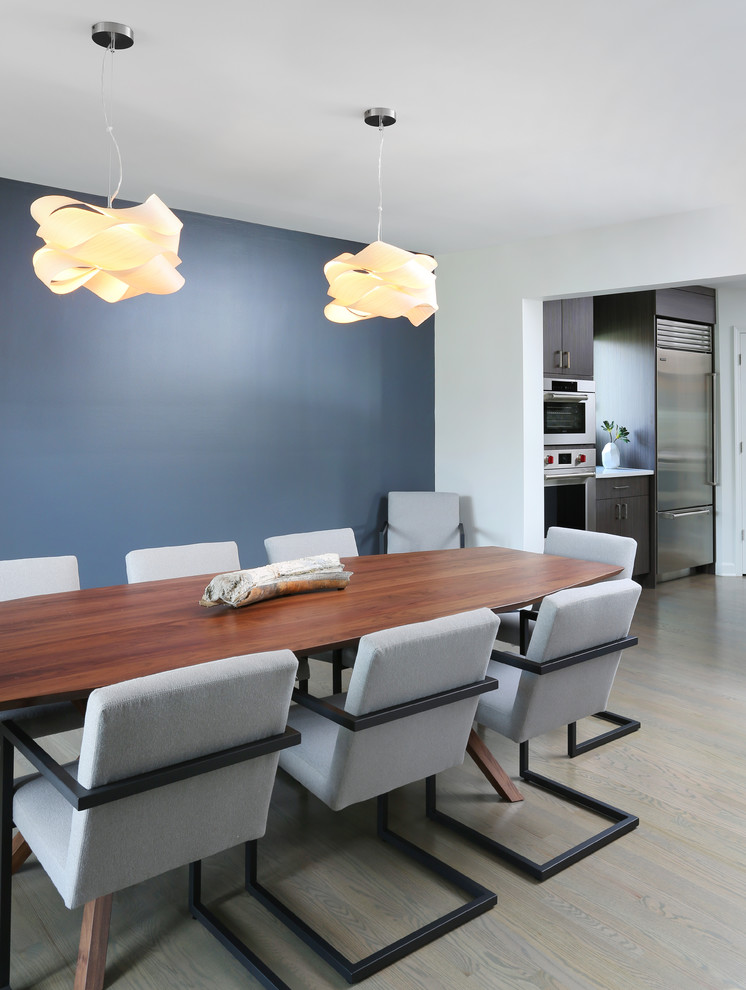 Свежая идея для дизайна: кухня-столовая среднего размера в современном стиле с синими стенами и светлым паркетным полом - отличное фото интерьера