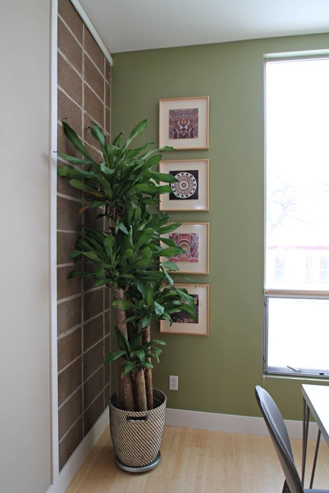 Foto di una sala da pranzo aperta verso la cucina boho chic di medie dimensioni con pareti verdi e parquet chiaro