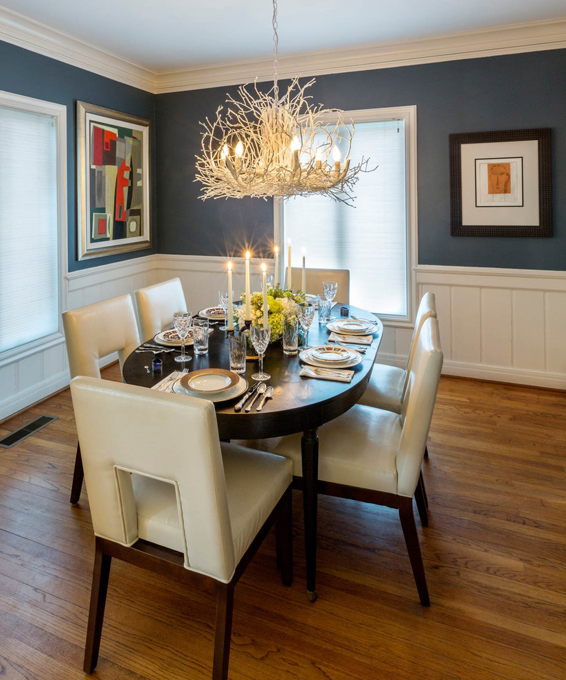 Réalisation d'une salle à manger bohème de taille moyenne avec un mur bleu et un sol en bois brun.