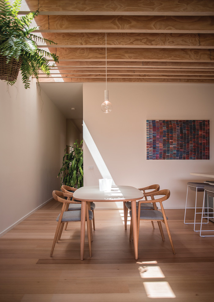 Moderne Wohnküche mit weißer Wandfarbe, braunem Holzboden und beigem Boden in Melbourne