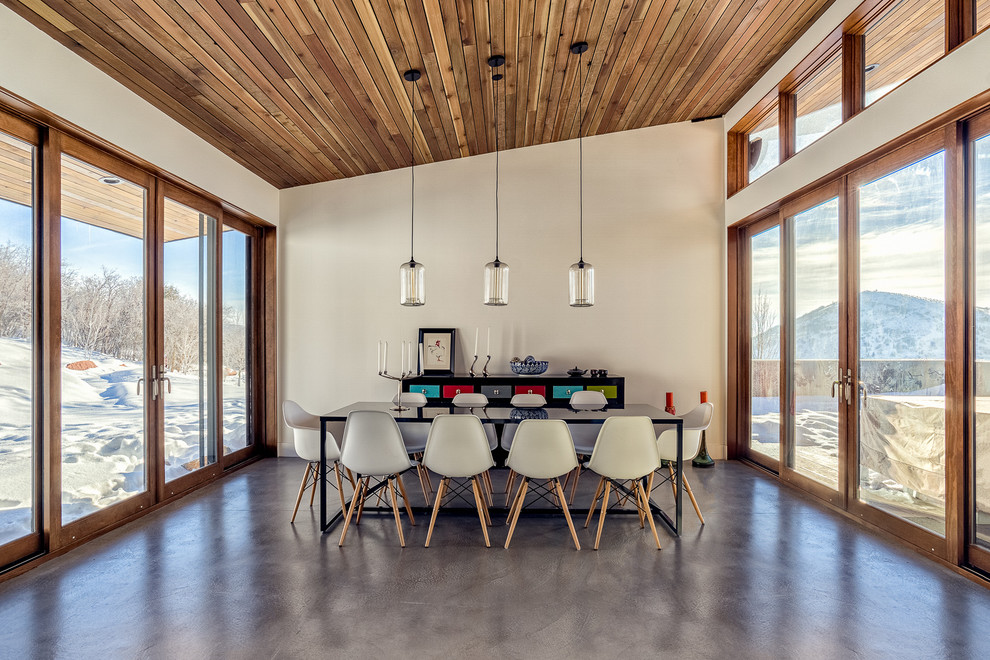 Trendy concrete floor dining room photo in Salt Lake City with white walls