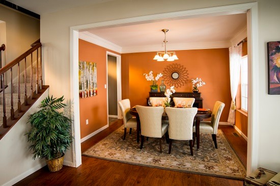 Свежая идея для дизайна: отдельная столовая среднего размера в классическом стиле с оранжевыми стенами и паркетным полом среднего тона - отличное фото интерьера
