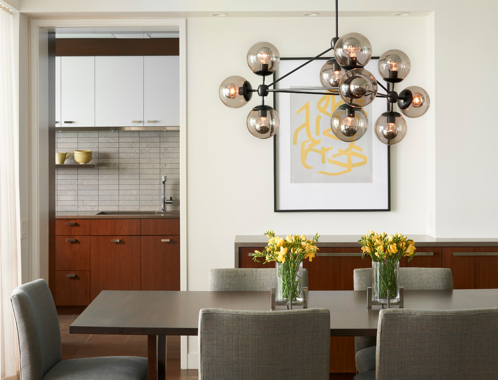 Trendy dining room photo in Chicago with white walls