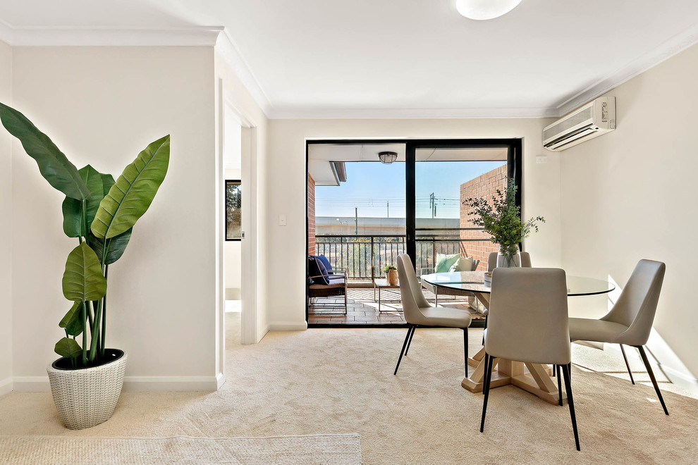 Offenes Modernes Esszimmer mit Teppichboden in Sydney