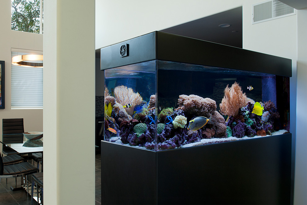 Room Dividing Charmer 180g Free Standing Aquarium Dining Room by