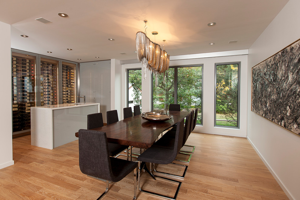 Imagen de comedor actual con paredes blancas y suelo de madera en tonos medios