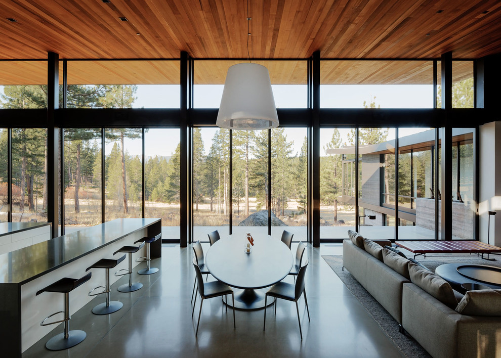 Стильный дизайн: кухня-столовая среднего размера в стиле модернизм с белыми стенами, бетонным полом, горизонтальным камином, фасадом камина из дерева и серым полом - последний тренд