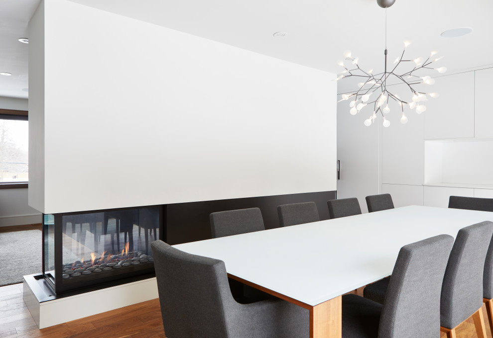 This is an example of a medium sized contemporary enclosed dining room in Toronto with white walls, medium hardwood flooring, a corner fireplace, a metal fireplace surround and brown floors.