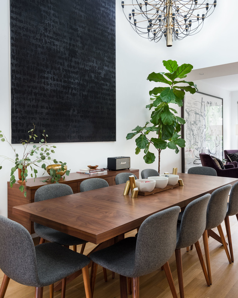 Esempio di una sala da pranzo aperta verso la cucina minimal di medie dimensioni con pareti bianche, parquet chiaro, nessun camino e pavimento marrone