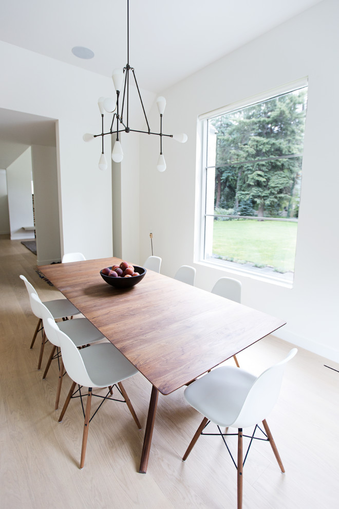 Diseño de comedor minimalista con paredes blancas y suelo de madera clara