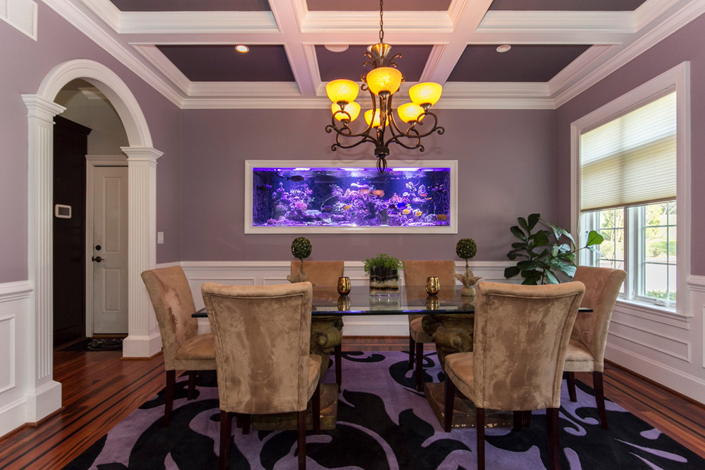 Enclosed dining room - huge contemporary medium tone wood floor enclosed dining room idea in Baltimore with purple walls and no fireplace