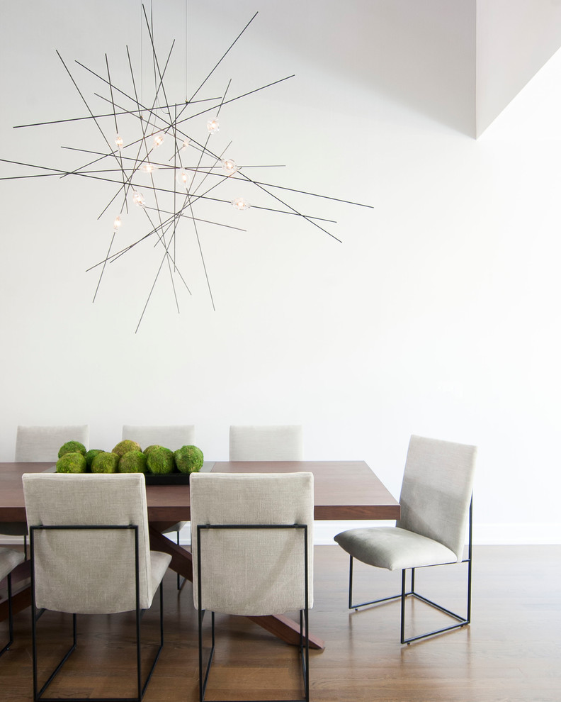 Источник вдохновения для домашнего уюта: столовая в современном стиле с белыми стенами, темным паркетным полом и коричневым полом