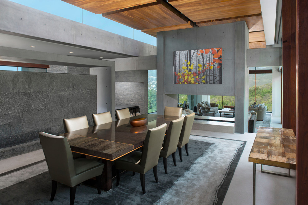 Cette image montre une salle à manger minimaliste avec un mur gris, une cheminée double-face et un sol gris.