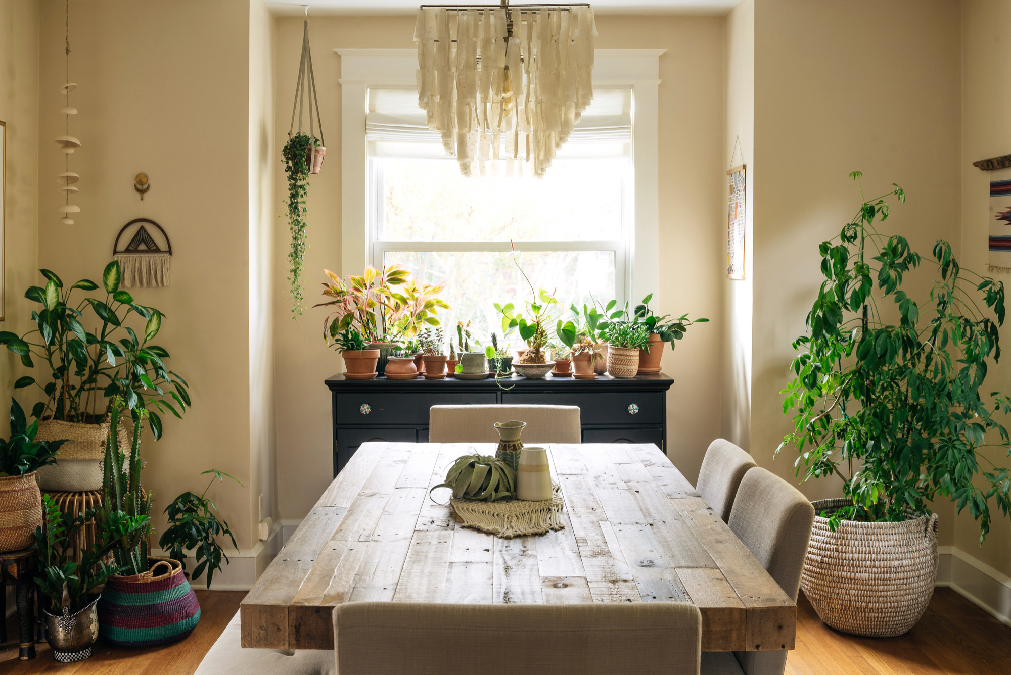 11 Houseplant Happy Dining Rooms